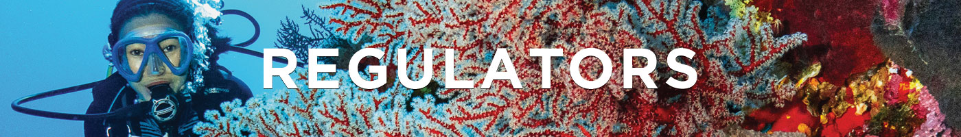 Sherwood Scuba Diving Regulators