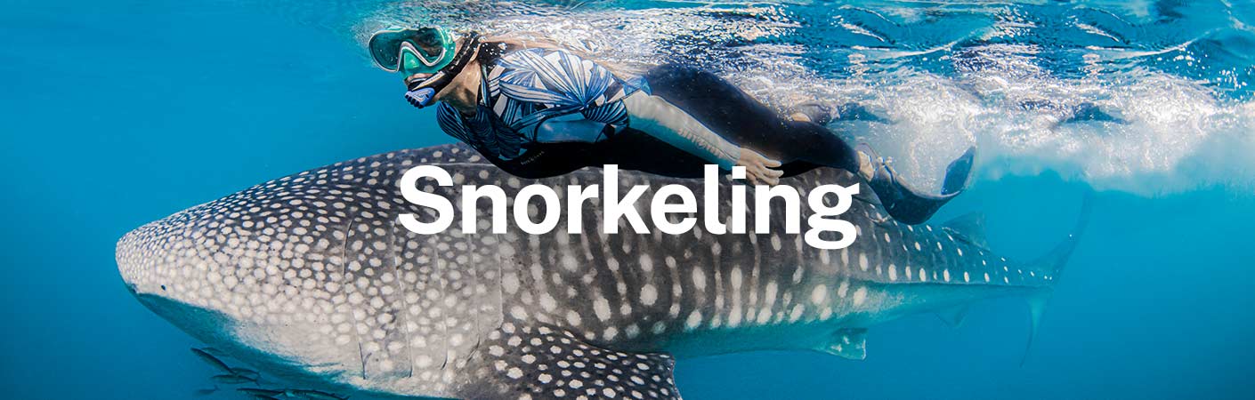 Aqualung Snorkeling Gear