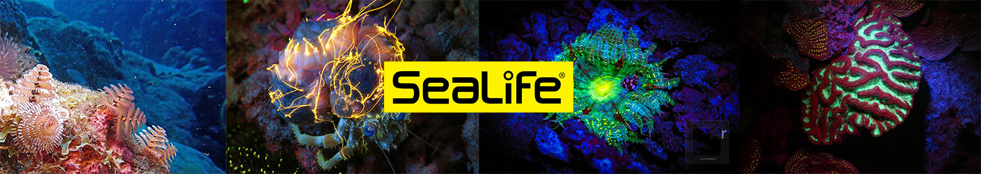 Shop all Sealife Products at Scuba.com