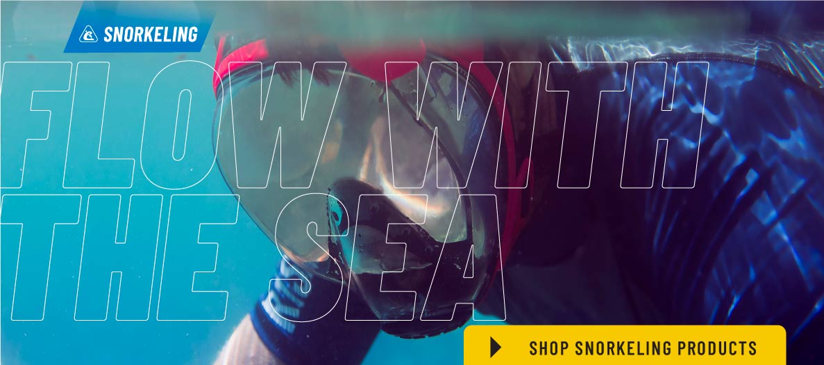 best snorkeling gear, best snorkeling mask, best snorkel, cressi gear