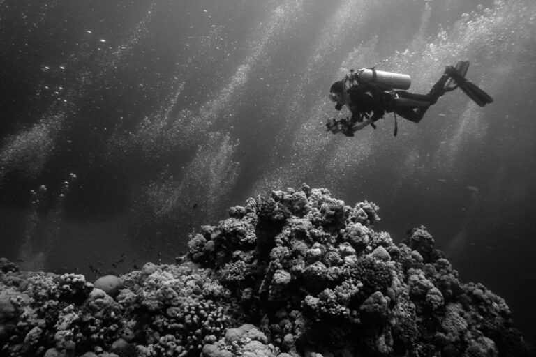 What Is Nitrogen Narcosis What You Need To Know Scuba