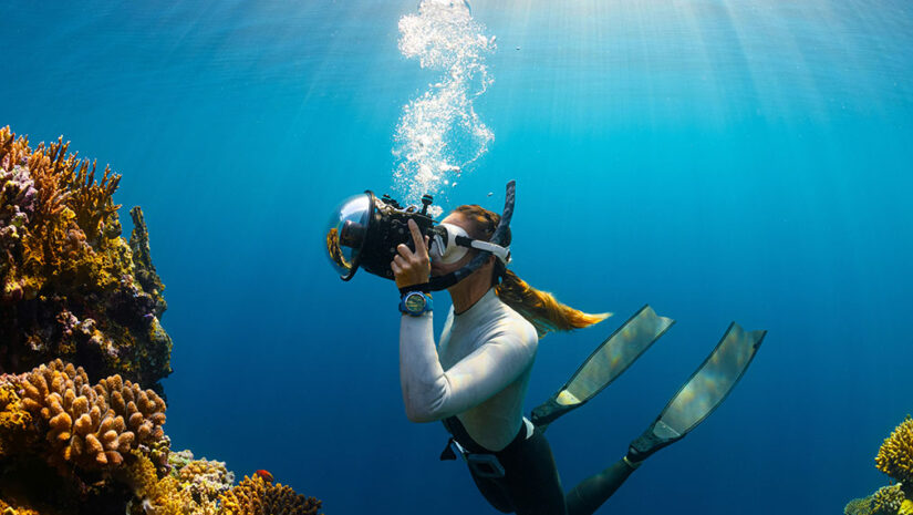 Dive Clean: An Essential Step in Sustainable Diving